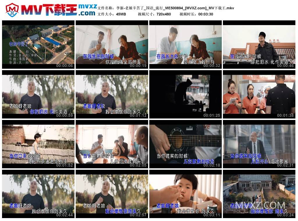 李新-老娘辛苦了_国语_流行_ME500894